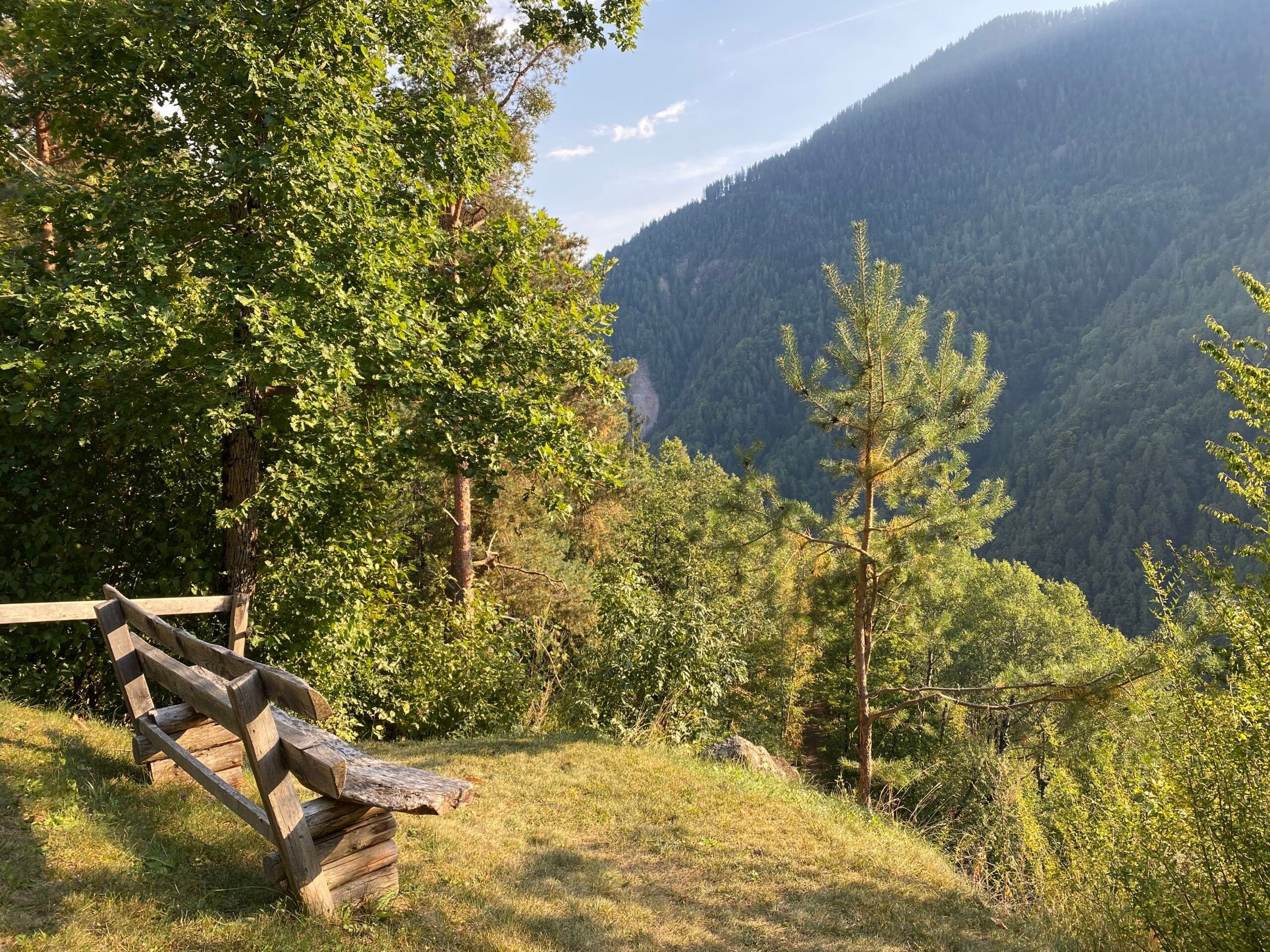 Holzbank am sonnigen Waldrand mit Blick auf die bewaldeten Berghänge